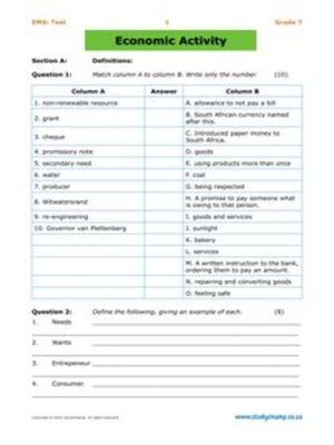 cover image of Grade 7 Ems Test 1: Economic Activity